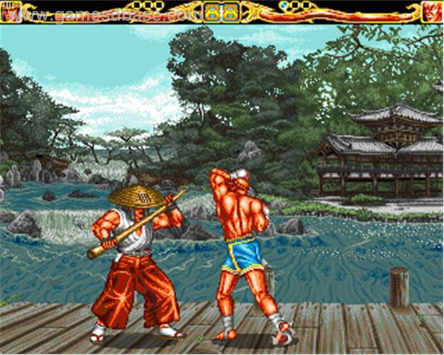 Fightin-_Spirit_-_1996_-_neo_Software_Produktions.jpg