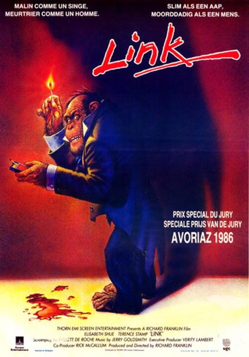link.jpg