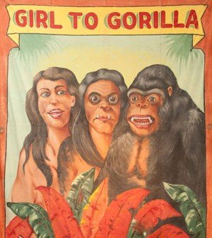 fred-johnson-girl-gorilla-banner-300x336.jpg