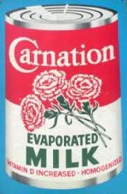carnation.jpg