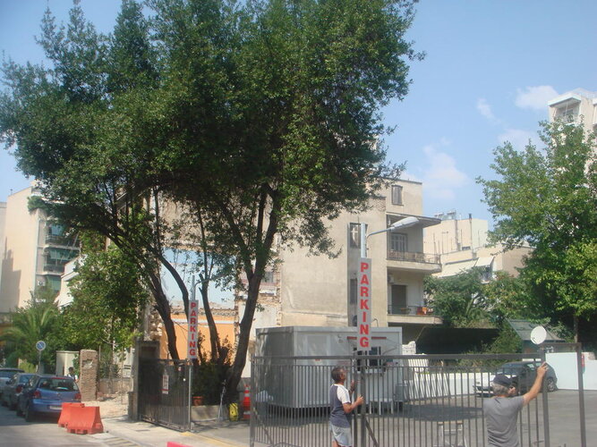 DSC07478.jpg
