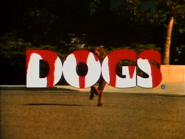 dogs1976.jpg