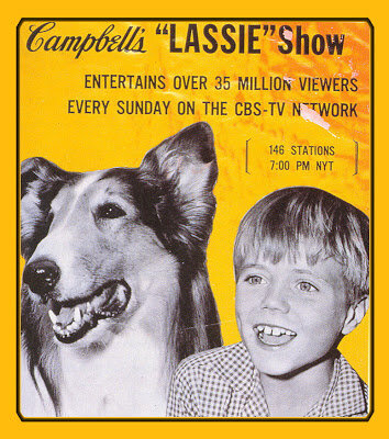 lassie-4.jpg