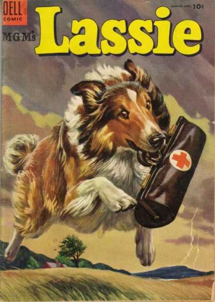 lassie (10).jpg