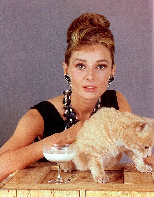 audrey-hepburn-cat.jpg