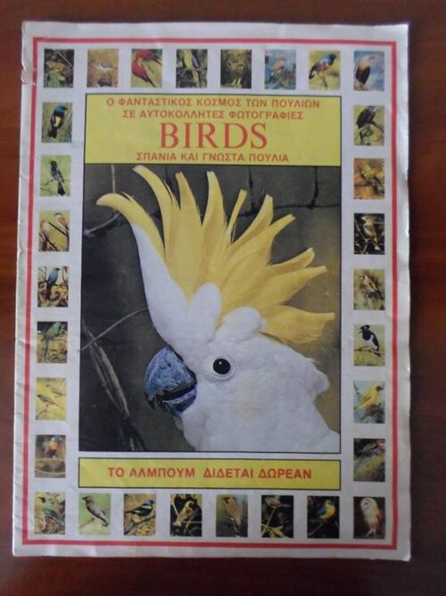birds.jpg
