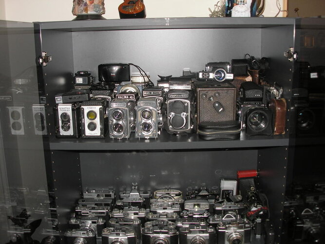 P1010002.jpg