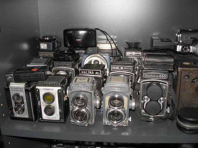 P1010005.jpg