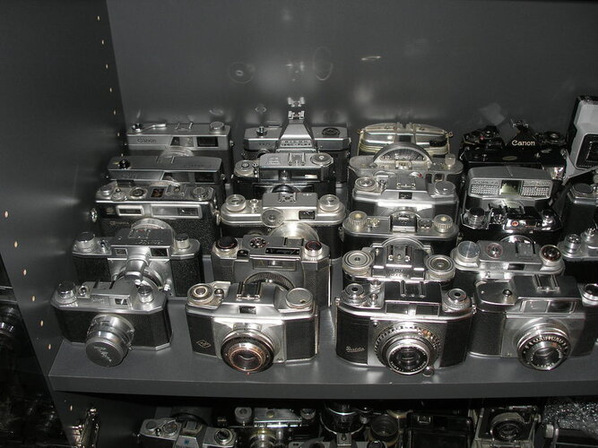 P1010007.jpg