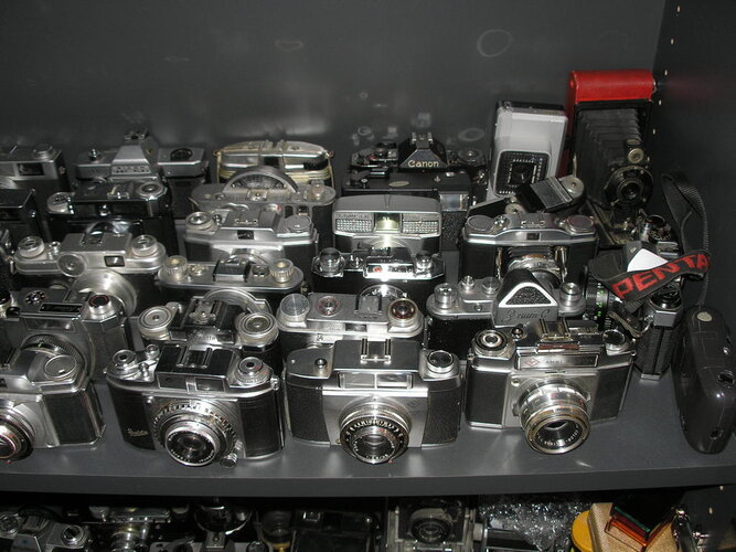 P1010008.jpg