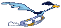 roadrunner8.gif