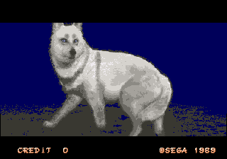 sdancer-dog.png