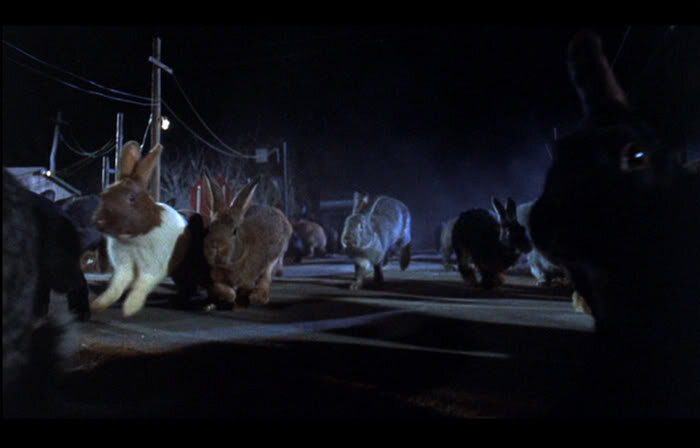spooktober12_nightofthelepus2.jpg
