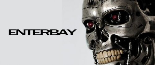 Enterbay-Endoskeleton-734x310.jpg