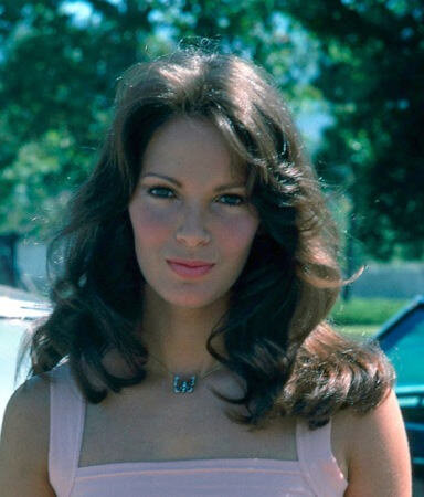jaclyn_smith_hairstyle_19.jpg