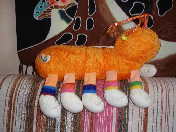 P1010001.jpg