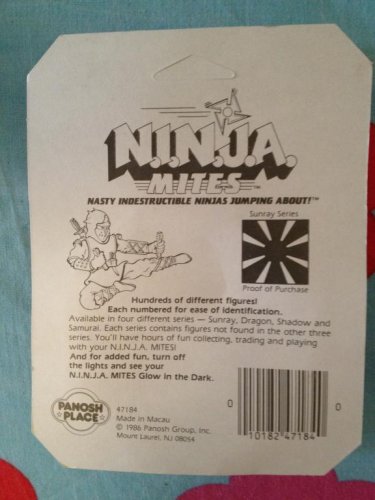 ninja 4.jpg