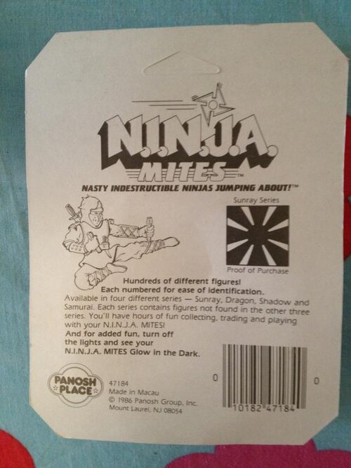 ninja 4.jpg