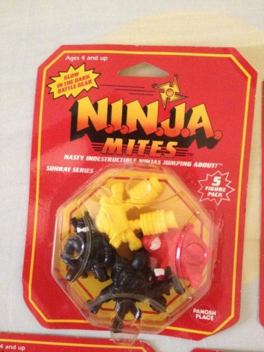 ninja 8.jpg