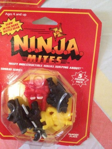 ninja 7.jpg