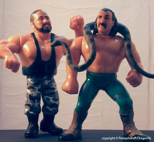 jake the snake and bushwacker.jpg