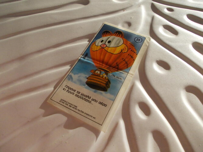 garfield 4.jpg