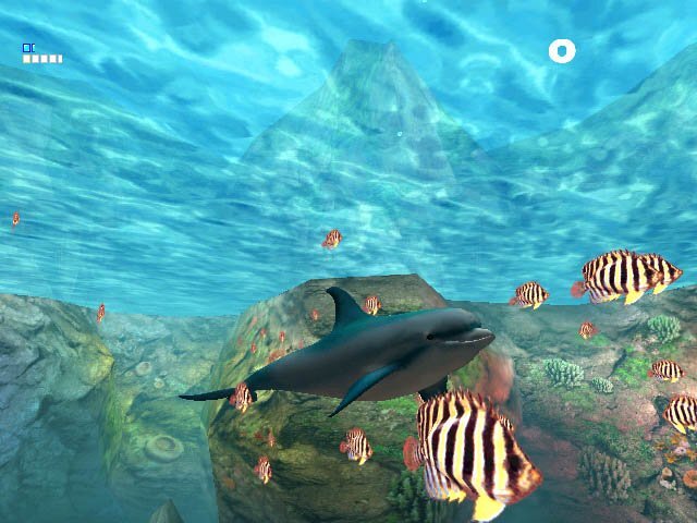 ecco2.jpg