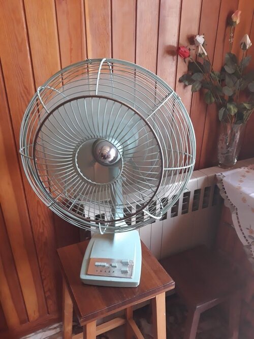 fan1.jpg