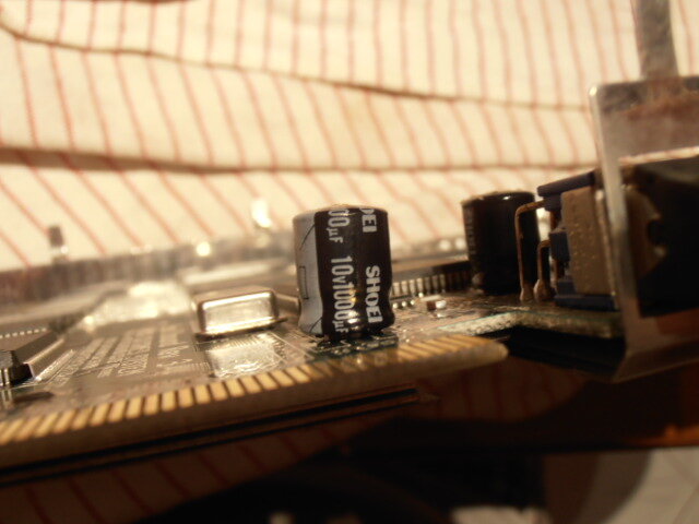 P7290005.JPG