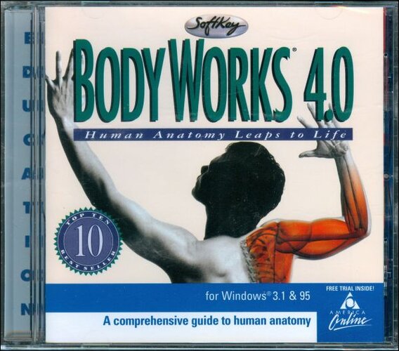 BodWorks4f_1.jpg
