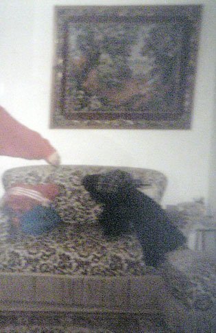 12203.jpg