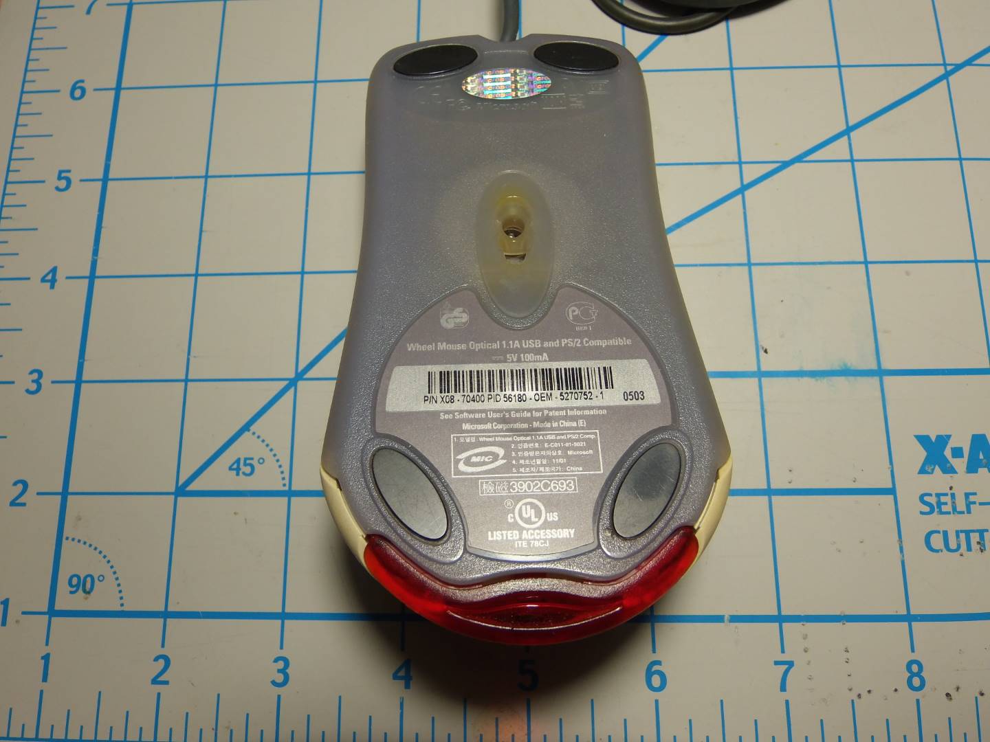 P5010546.JPG