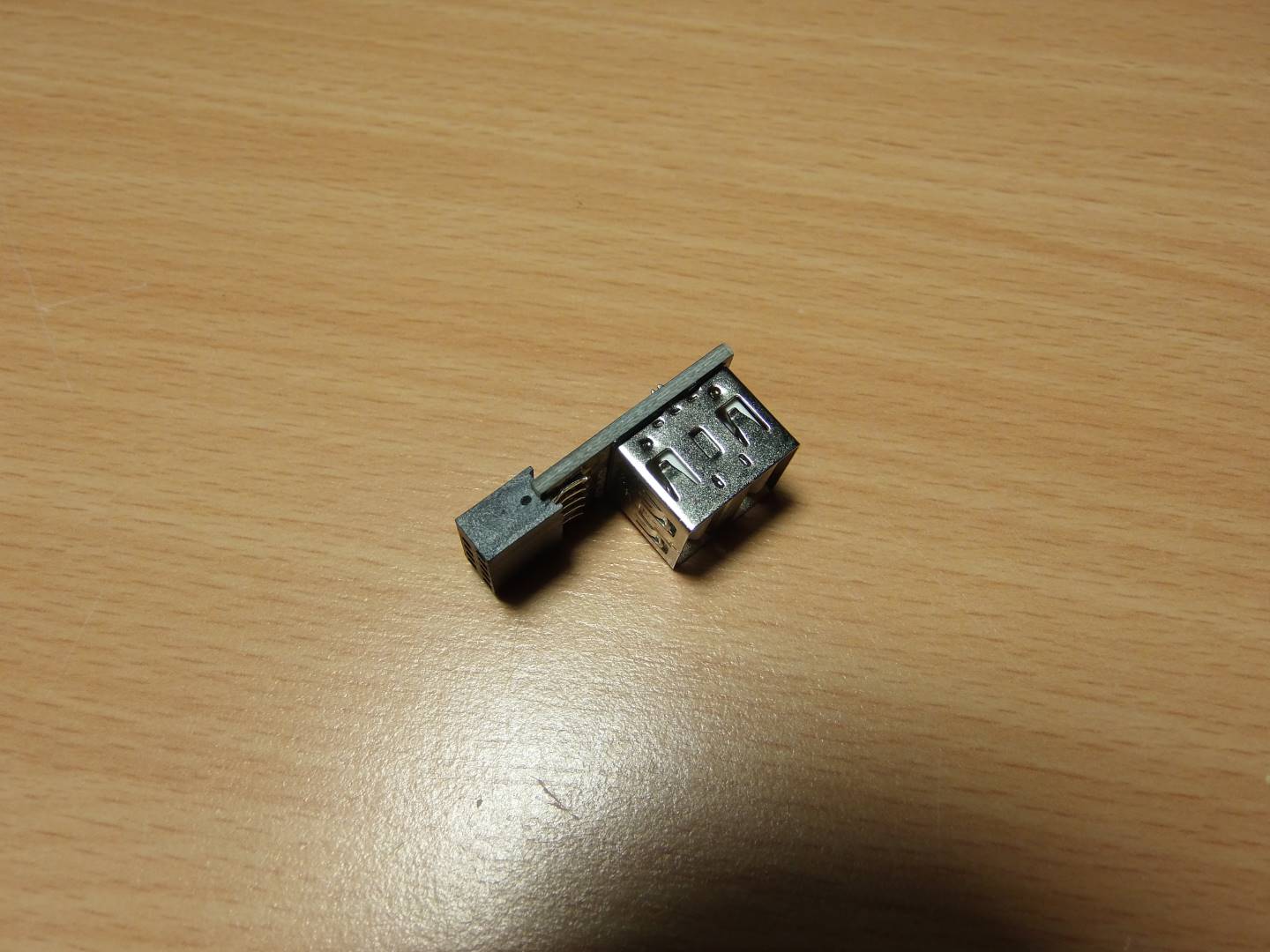 P8189954.JPG